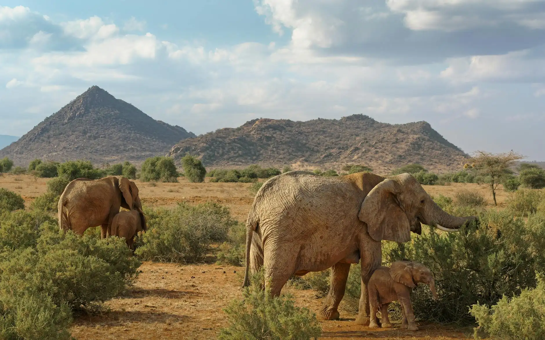 María López Portfolio 8